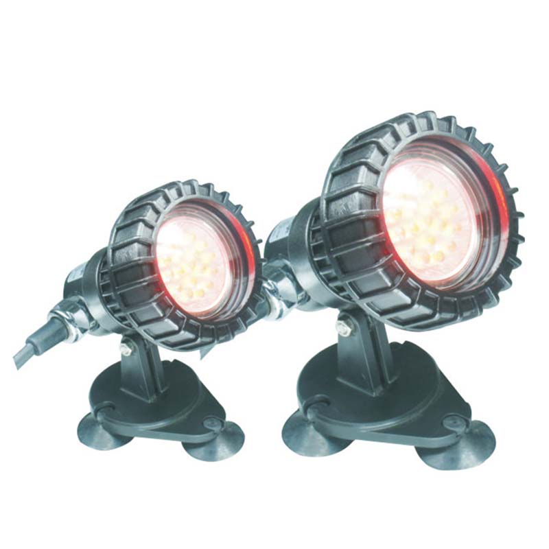 মাটির নিচের পুকুরের সাবমারসিবল লাইট এর উপরে মাছ